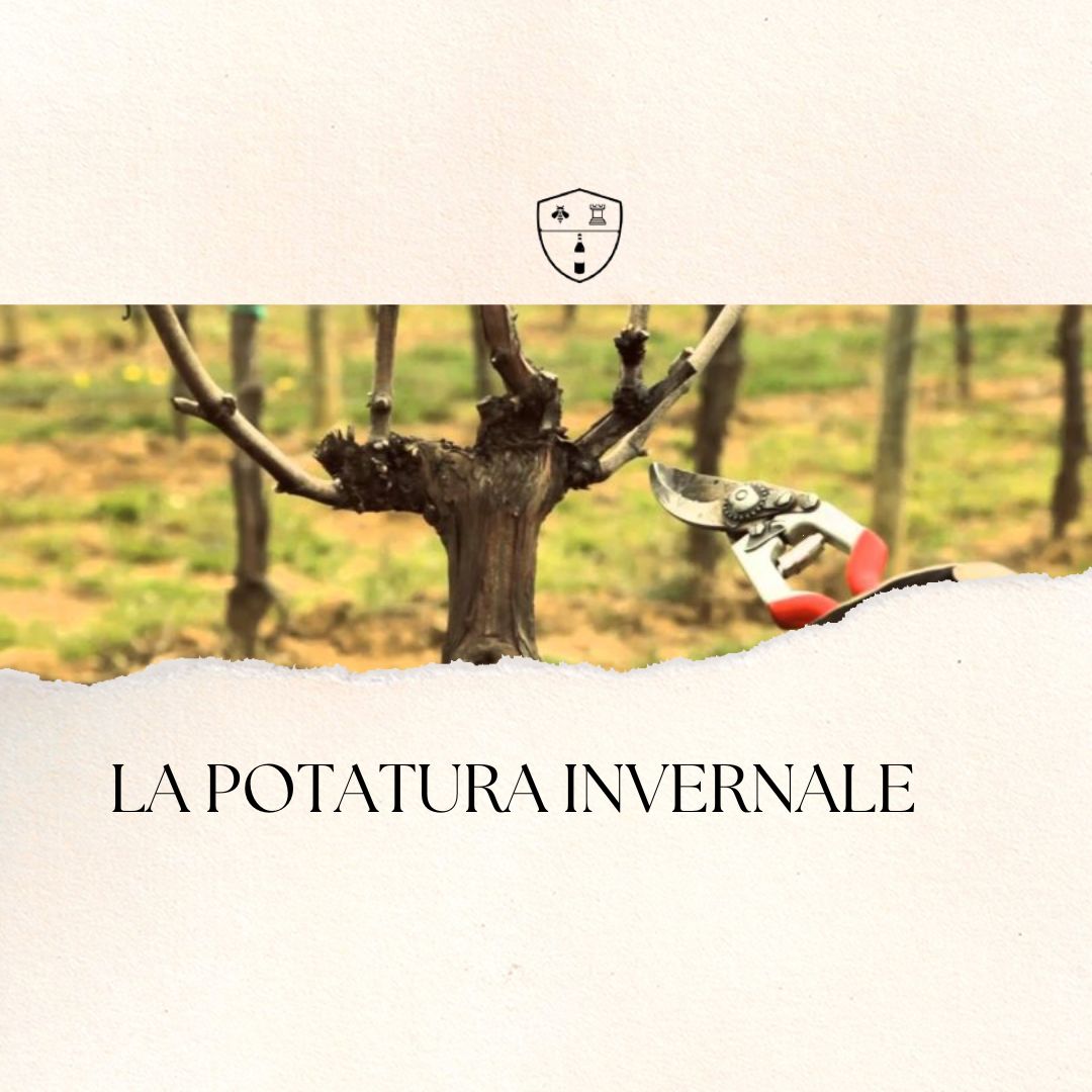 La potatura invernale - tecniche